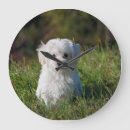 Pesquisar por cachorro branco relogios de parede Natureza