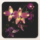 Pesquisar por orquídeas porta copos Jardim