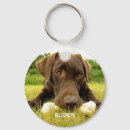 Pesquisar por chocolate labrador chaveiros Fofo