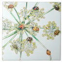 Pesquisar por joaninhas azulejos Ponto