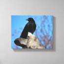 Pesquisar por corvos impressão de canvas Preto e branco