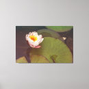 Pesquisar por almofada impressão de canvas Água