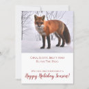 Pesquisar por família raposa cartoes Neve