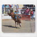 Pesquisar por cavalo bucking eletronicos Bronco