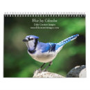 Pesquisar por jay calendarios Natureza