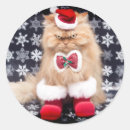 Pesquisar por humor natal adesivos Humor de gato