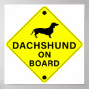Pesquisar por dachshund pósteres pôsteres For pets
