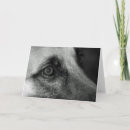 Pesquisar por german shepherd branco cartoes Animais