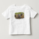 Pesquisar por amphibius camisetas Tanzânia