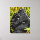 Pesquisar por gorila impressão de canvas Floresta tropical