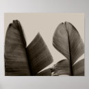Pesquisar por árvores abstratas pôsteres Textura