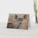 Pesquisar por antilope cartoes Animais