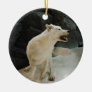 Pesquisar por lobo branco ornamentos Natureza