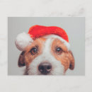 Pesquisar por natal canino cartoes postais Cachorro