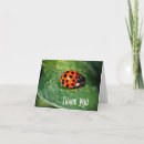 Pesquisar por ladybug cartoes Obrigado