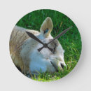 Pesquisar por ovelha relogios de parede Engraçado