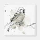 Pesquisar por escondido imas Pássaro