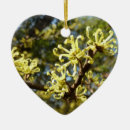 Pesquisar por risco ornamentos Natureza