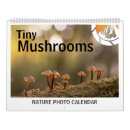 Pesquisar por cogumelos calendarios Natureza