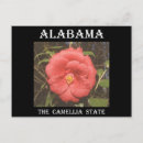 Pesquisar por camélias cartoes postais Alabama