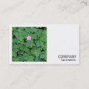 Pesquisar por solitário cartao de visita Negócio