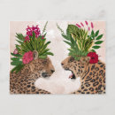 Pesquisar por safari cartoes postais Zoo