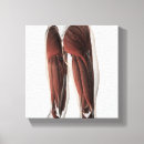 Pesquisar por dos pés do impressão de canvas Gracilis