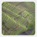 Pesquisar por terraço adesivos Asia