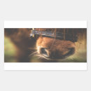 Pesquisar por homem cavalo adesivos Equestre