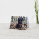 Pesquisar por terrier escocês cartoes Escocesa