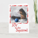 Pesquisar por funny squirrel cartoes Snow