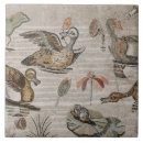 Pesquisar por aves aquáticas azulejos Pato