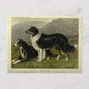 Pesquisar por vintage dog cartoes postais Cães