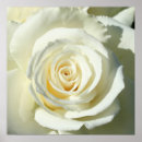 Pesquisar por cream pôsteres Branco