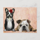 Pesquisar por bulldog cartoes postais Galo
