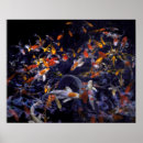 Pesquisar por carpa japonesa pôsteres Koi