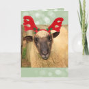 Pesquisar por arrogante cartoes postais Engraçado