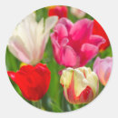 Pesquisar por close up adesivos Sorvido