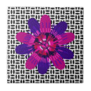 Pesquisar por rosas roxos azulejos Moderno