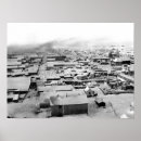 Pesquisar por opinião de olho de pássaros pôsteres Fotografia