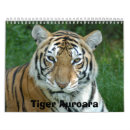 Pesquisar por cumprimento do tigre Tigres