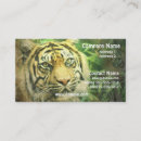 Pesquisar por bengala cartao de visita Animais selvagens