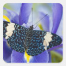 Pesquisar por borboletas exóticas adesivos Tropicais