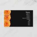 Pesquisar por web design padrao cartao de visita Loja