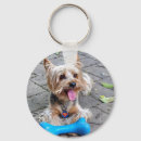 Pesquisar por osso de meu osso chaveiros Canino