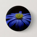 Pesquisar por flower botons Margarida