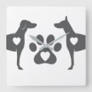 Pesquisar por doberman branco Dobermans