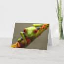 Pesquisar por frog cartoes Wildlife