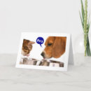 Pesquisar por novo motorista cartoes 16 º