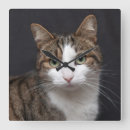 Pesquisar por nariz artes pôsteres Gato